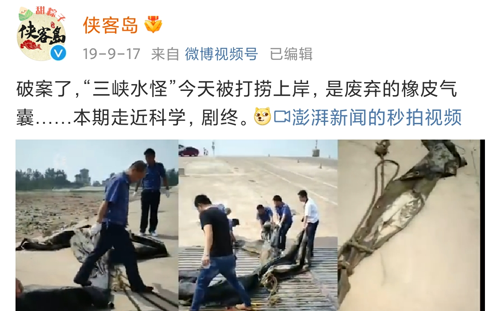 现场视频曝光 男子称拍到5米长不明生物：快到岸边时直接消失(图5)